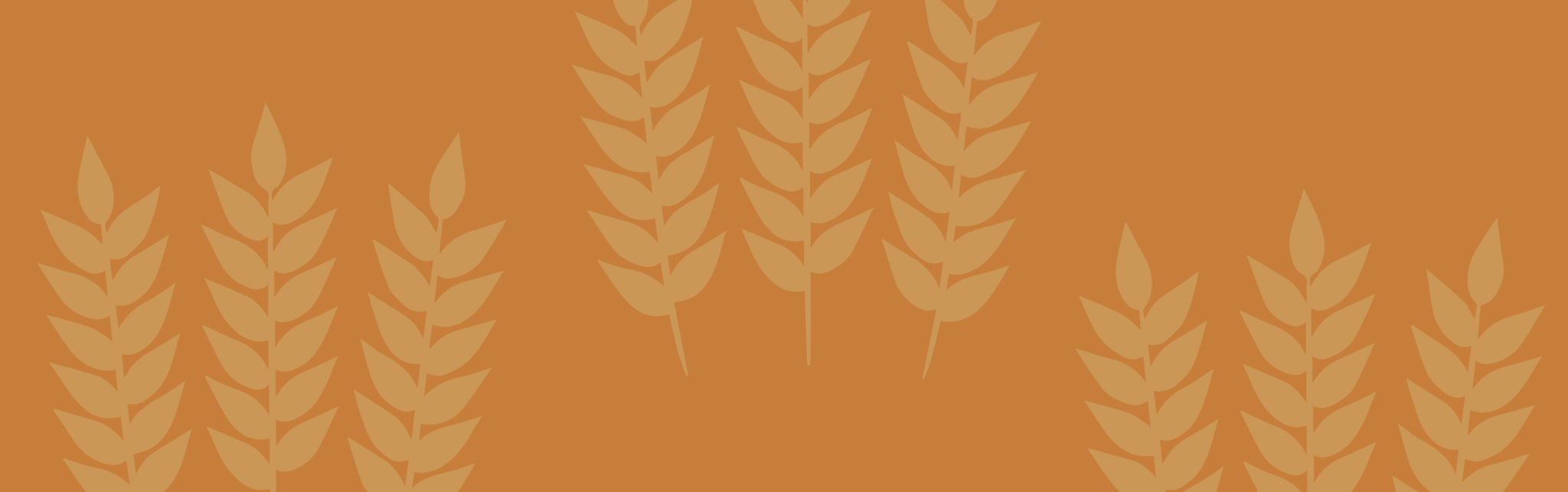 Baker Street Bread Company Breakfast Burrito